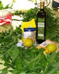 Alle Zutaten f&uuml;r das Pesto