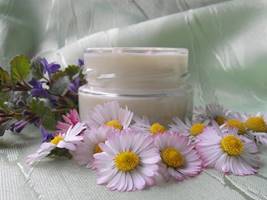 selbst gerührte Handcreme mit Gänseblümchen
