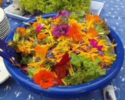 Gemischter Wildkräutersalat mit Blütendekoration