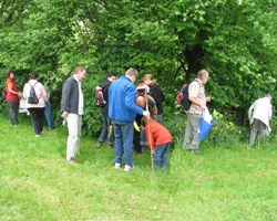 Die gesamte Gruppe beim Sammeln von Brennesseln, Giersch und anderen Kr&auml;utern