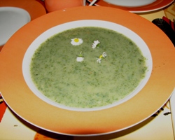 Wiesensuppe mit Brennesseln, Giersch und G&auml;nsebl&uuml;mchendekoration