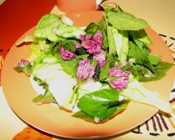 Kopfsalat mit Wildkr&auml;utern und Wiesenbl&uuml;ten